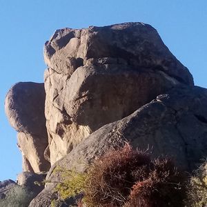 Meet your Posher, Trisha